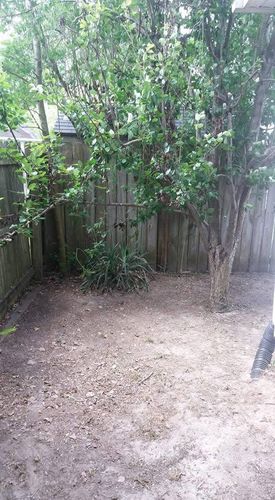 All Photos for Voilà Magic LawnCare Services in Jacksonville, NC