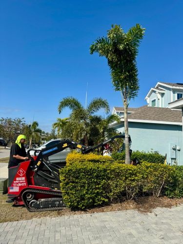 Landscaping for Shoreside Property Services in Apollo Beach, FL