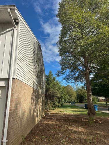 All Photos for Pro Tree Trim & Removal, Llc in Dayton, OH