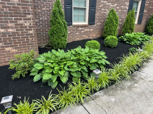  for One Man and a Mower in Knoxville, TN