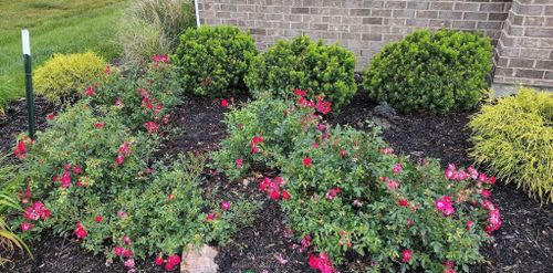  for Bearforce Lawn Care LLC in Greenfield, IN