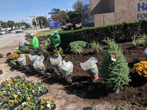 Landscape Design for Mira Vista Landscaping in Everman, TX