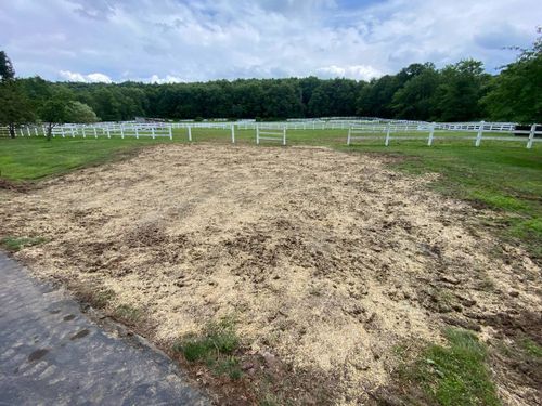 All Photos for AAA Tree Cutting in Shavertown, PA