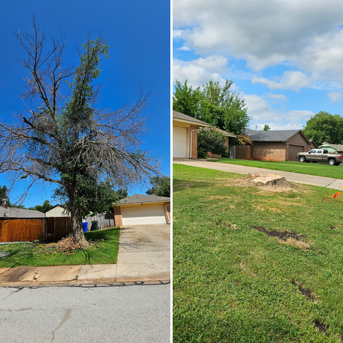  for Affordable Lawns and Trees in Oklahoma City, OK