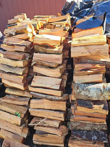 Tree Removal for Trio Tree Services in Ocean Park, WA