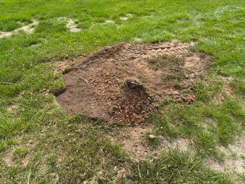 Stump Removal for Conrad's Stump Removal in Columbus, IN