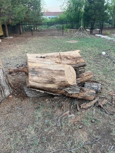 Tree Removal for Lion In The Tree Trimming Service in Big Spring, TX