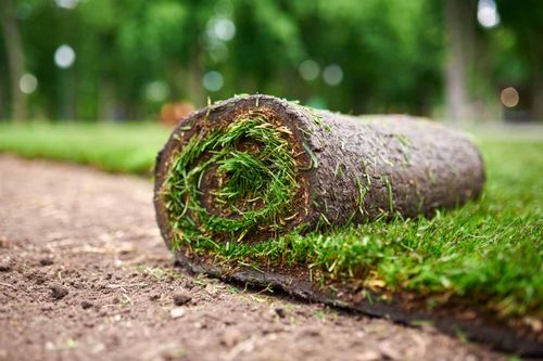 Sod Install for Tezna Landscaping, Trees & Pavers in Valrico, FL