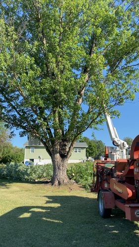 All Photos for Gray's Tree Service  in Shenandoah County, VA