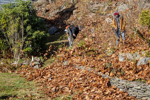 Fall Cleanup for CS Property Maintenance in Middlebury, CT