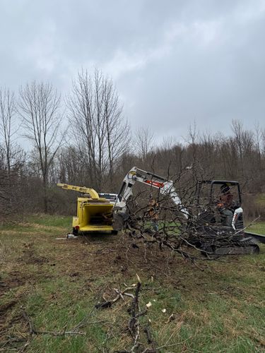 for Sterlings Tree Removal in Cobleskill, New York