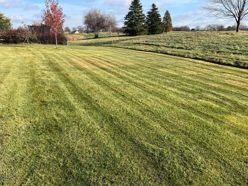 Lawn Care for K and Z Lawn Care in Andover, MN