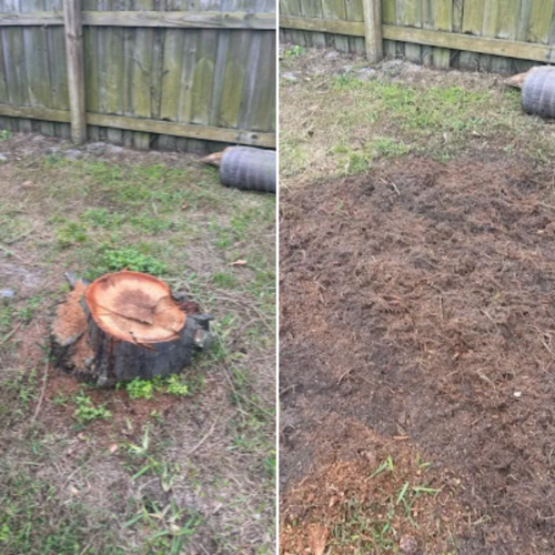  for KB’s Stump Removal in Seminole, FL