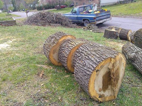 for Professional Tree Service USA in Chattanooga, TN