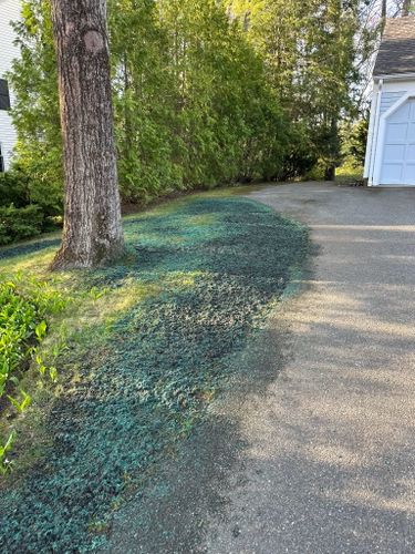 Hydroseed services. for F Carias Irrigation Specialist INC in Southborough, MA
