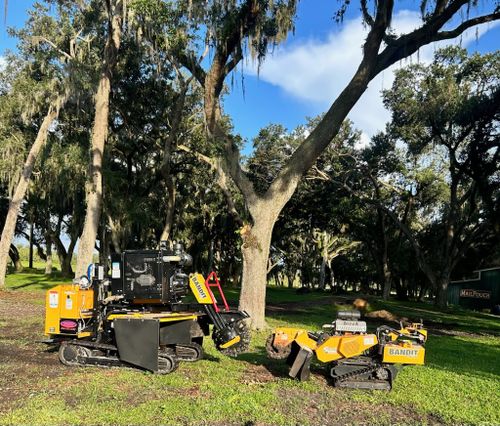  for Greene Acres Stump Grinding in Plant City, FL