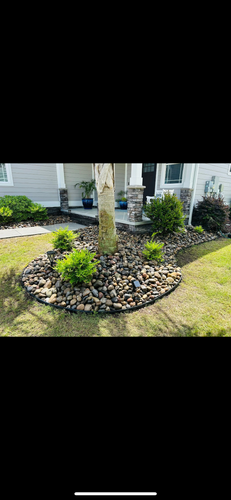 All Photos for New Creation Landscaping in Myrtle Beach, SC
