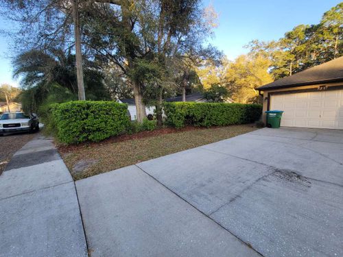 All Photos for Highlife Tree Care And Landscaping in Altamonte Springs, FL