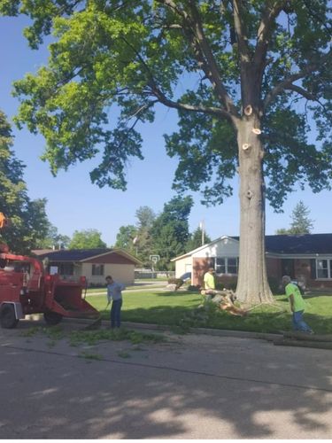 All Photos for Carpenter's Tree Service in Aurora, IN