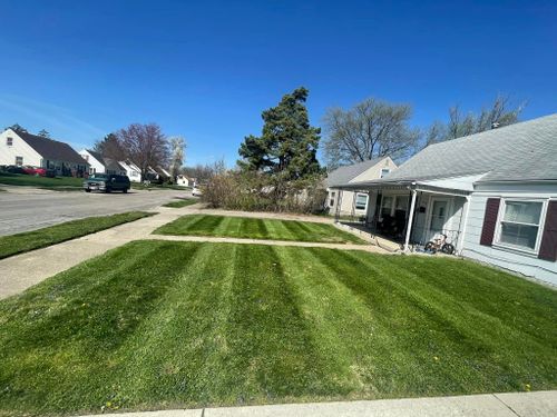  for Cromlish Cuts  in Springfield, OH 