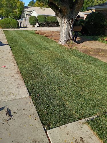 Sod Installation for 2 Brothers Landscaping in Albuquerque, NM