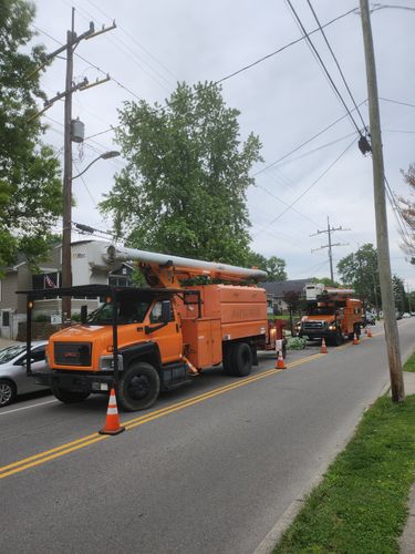 All Photos for Carpenter's Tree Service in Aurora, IN