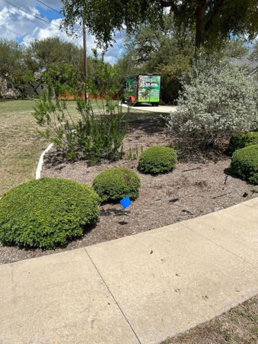 Shrub Trimming for C & C Lawn Care and Maintenance in New Braunfels, TX