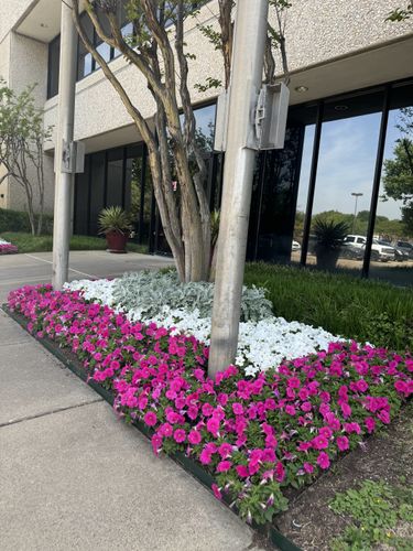 Seasonal color changes for Guerrero's Landscape in Fort Worth,  TX