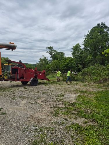 All Photos for Carpenter's Tree Service in Aurora, IN