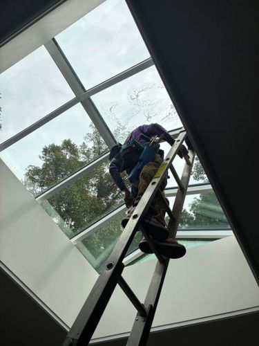 Special Services (Holiday Lighting & Window Tinting for Malibu Window Cleaning in Annapolis, MD