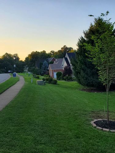 Tree Work for KK&G Lawncare Services LLC in  Frankfort, KY