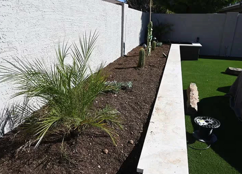 Planting for Citiscapes, LLC in Phoenix, AZ
