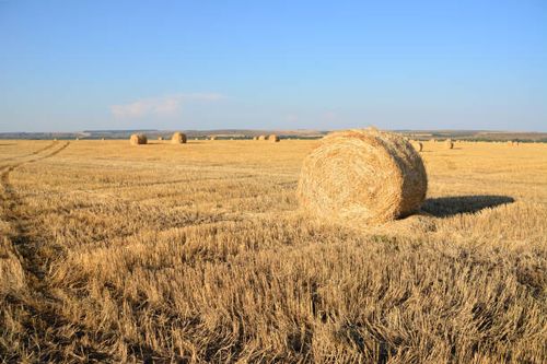 All Photos for SSC All Trade Solutions in Windham, NH