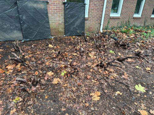 Stump Removal for Conrad's Stump Removal in Columbus, IN