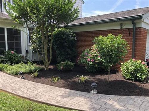 Mulch Installation for Daniel Sons Landscaping &Maintenance in Tampa, Florida