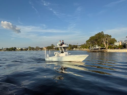  for Floyd's Marine LLC in Brandon, FL