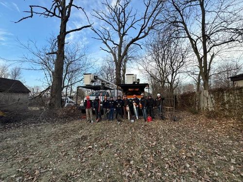 Tree Trimming for Williams Tree Service LLC in Indianapolis, IN