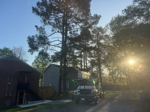  for Yardcall Solutions Tree & Landscaping Services in Durham, North Carolina