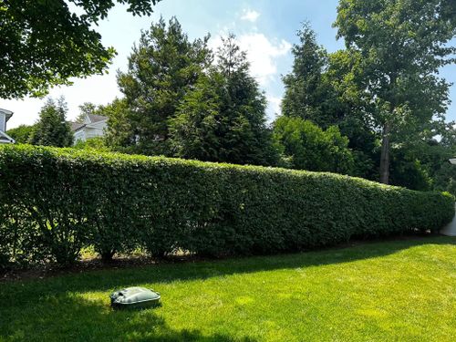  for Jose Gonzalez Landscaping in Stamford, CT