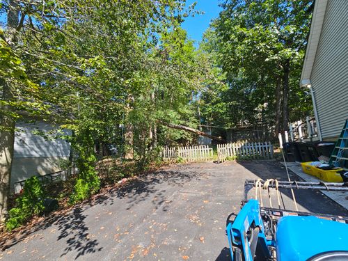 Tree Removal for Hired Gunz Services LLC in La Plata, MD