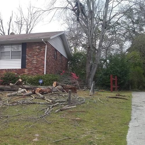 Tree Removal & Pruning for E.P.I Lawncare & Pressure Washing  in Augusta, GA