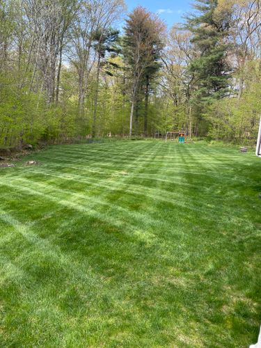 Lawn Aeration and Overseed for Blades of Glory LLC in Cheshire, CT
