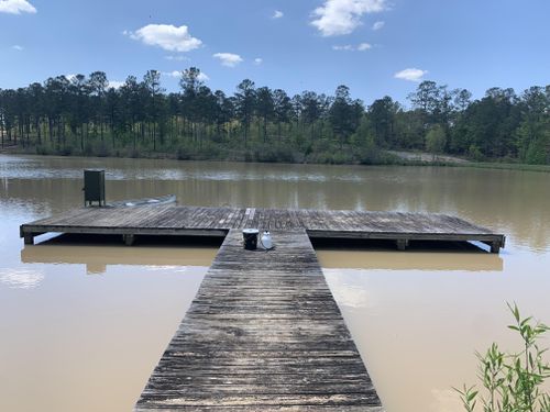 Other Pressure Washing Services for X-Stream Pressure Washing and Roof Cleaning in Sandersville, GA