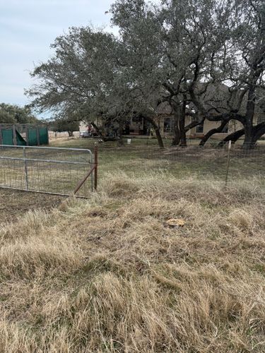Tree Trimming for Oakley’s Stump ‘N Grind in Leander, TX