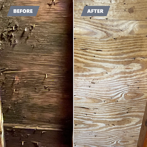 for EFG Cleaning and Restoration in Poughkeepsie, NY