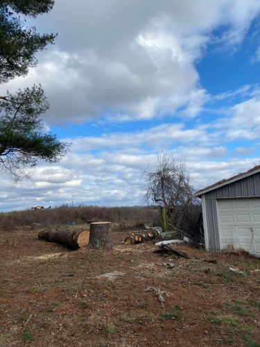 Fall and Spring Clean Up for Atwood’s Tree Care in Liberty,  KY