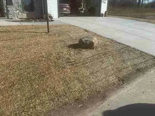 New Lawn Install for Paradise Lawnscapes in West Bend, WI