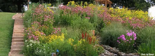  for Strange Soles in Cambridge, MA