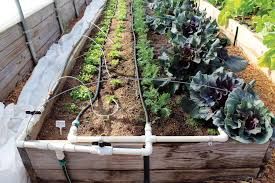 Irrigation Systems for Benito's Gardening in San Juan Capistrano, CA