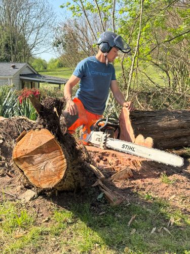 All Photos for Ramirez Tree Care in Elkin, NC